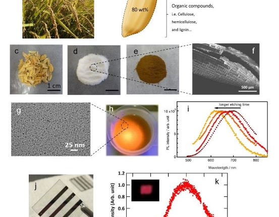 World’s first LED lights developed from rice husks