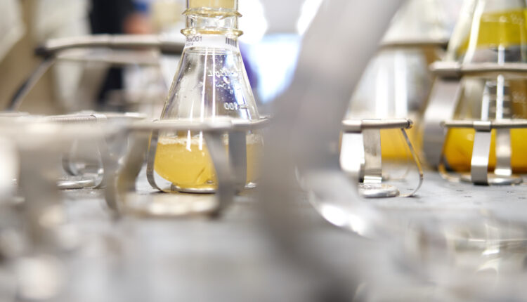 Global Clean-Tech Majors Bioweg and Ginkgo Bioworks to Combat Microplastic Pollution with Bio-Based Materials